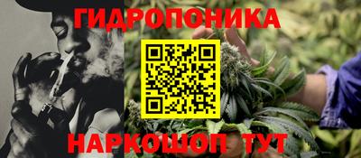 apvp Можга