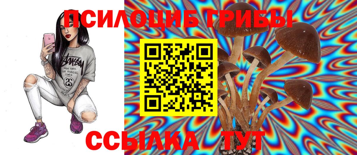 Псилоцибиновые грибы Cubensis Соль-Илецк